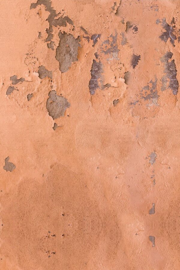 Forgotten Fascinations